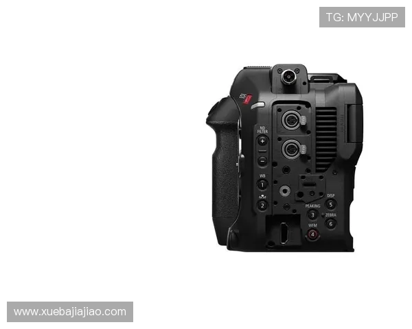 尊龙z6ag旗舰厅：安全稳定的博彩平台，打造靠谱娱乐新标准