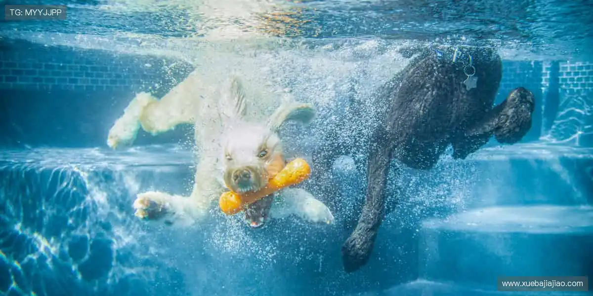 全球游戏全覆盖平台:高清呈现每一局,赢取惊喜永不停